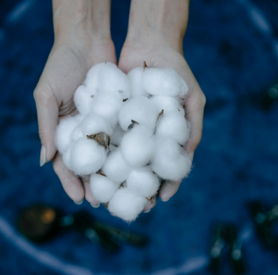 Image à rafraîchir